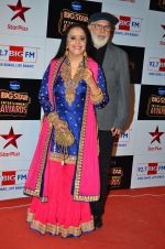 Ila Arun at Big Star Entertainment Awards Red Carpet in Mumbai on 18th Dec 2014